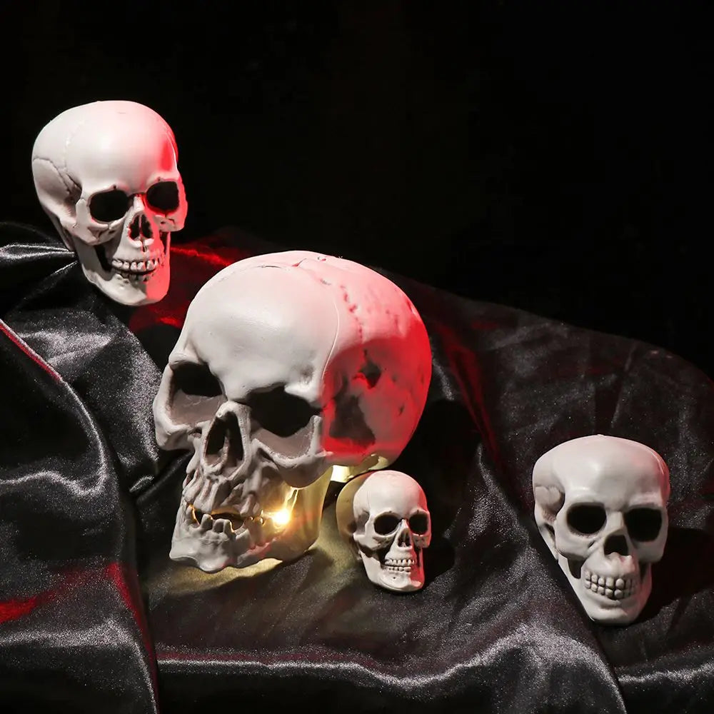 Realistic Skull Head Halloween Prop – Multi-Size