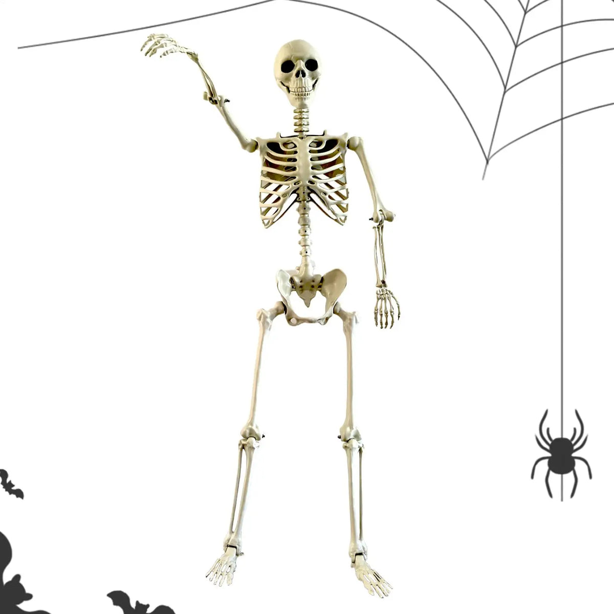Life-Size Skeleton Halloween Decoration – 90cm Prop