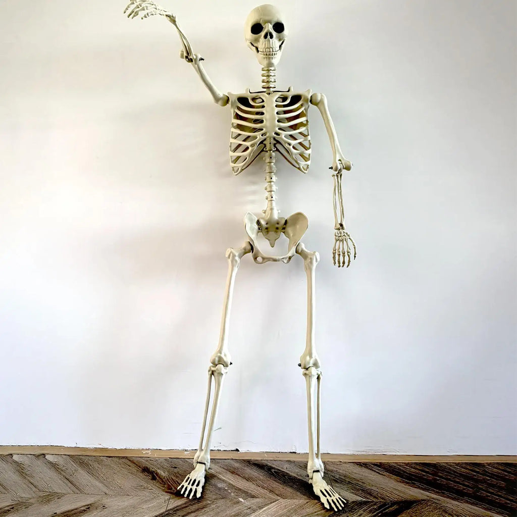 Life-Size Skeleton Halloween Decoration – 90cm Prop