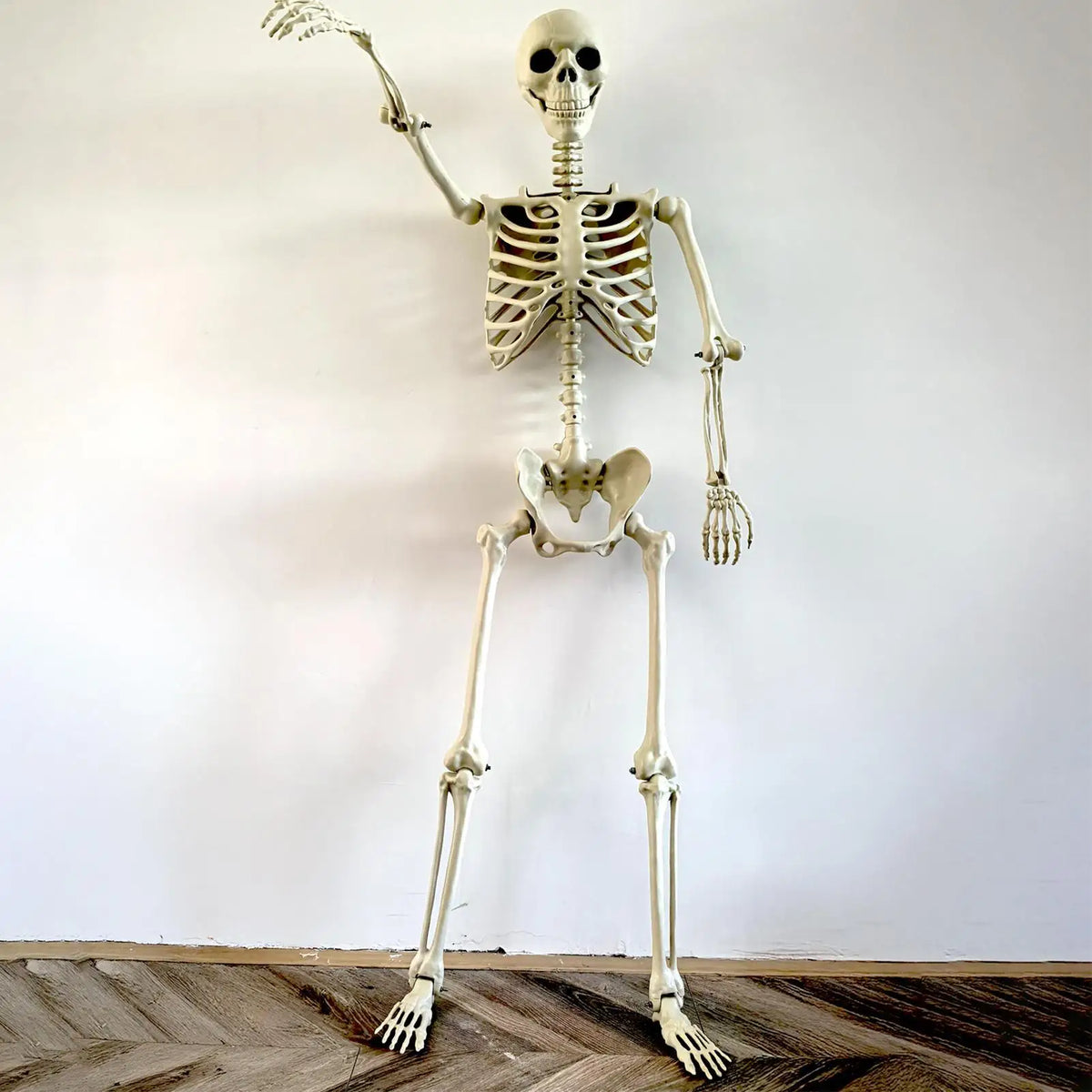 Life-Size Skeleton Halloween Decoration – 90cm Prop