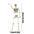 Life-Size Skeleton Halloween Decoration – 90cm Prop