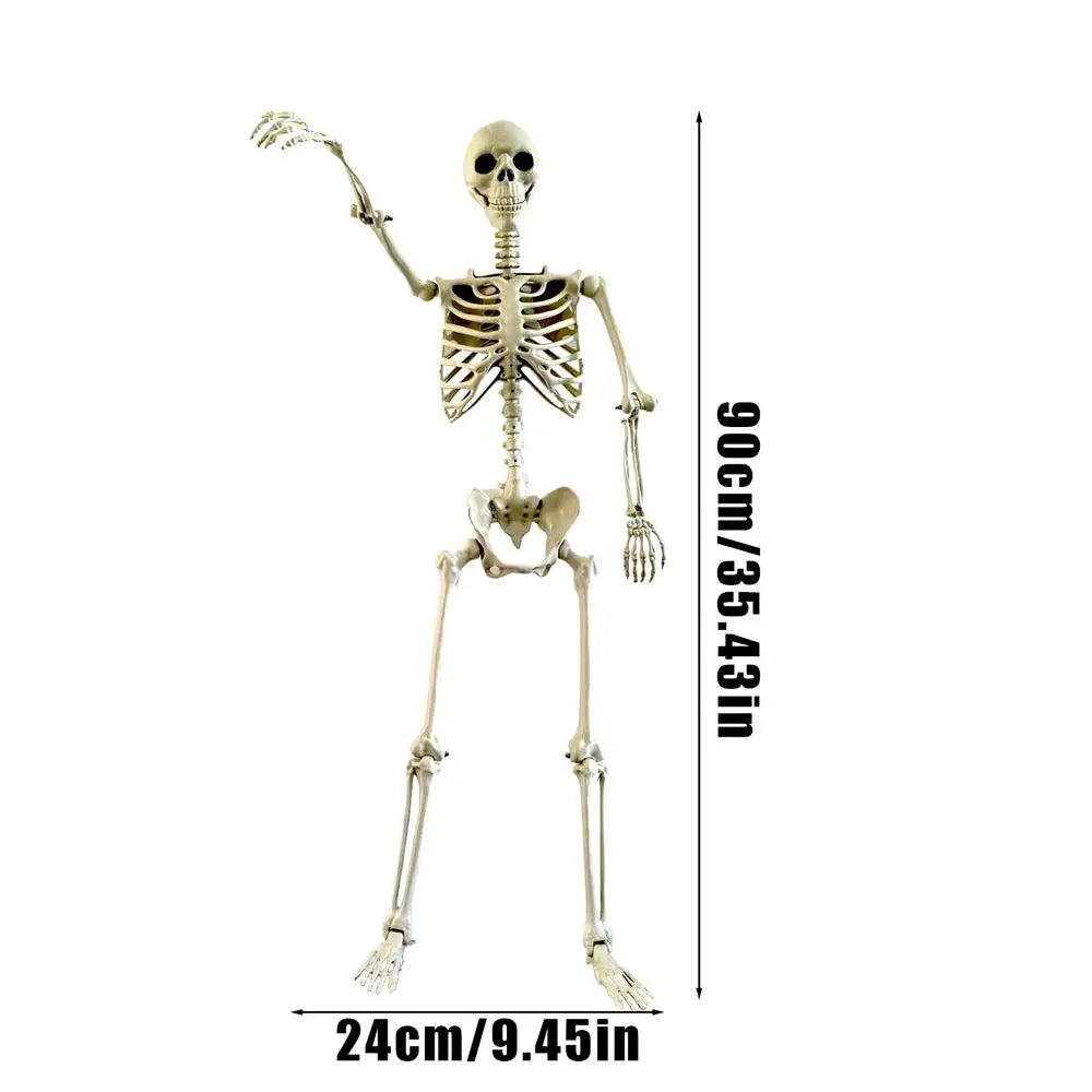 Life-Size Skeleton Halloween Decoration – 90cm Prop