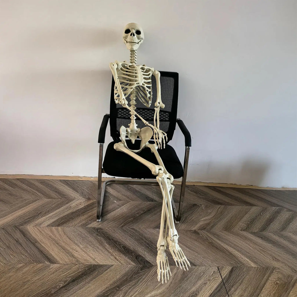 Life-Size Skeleton Halloween Decoration – 90cm Prop