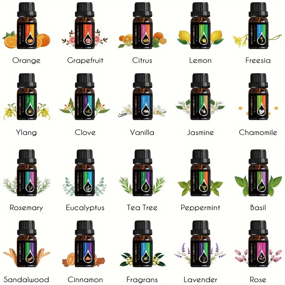 20-Piece Essential Oil Gift Set – Lavender, Eucalyptus, Citrus & More