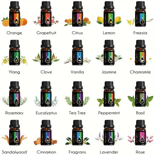 20-Piece Essential Oil Gift Set – Lavender, Eucalyptus, Citrus & More